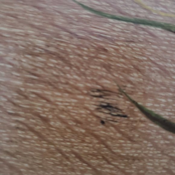 Woodware Like Serving Tray Platter Pheasant Scene Handles Rectangle - Picture 9 of 12